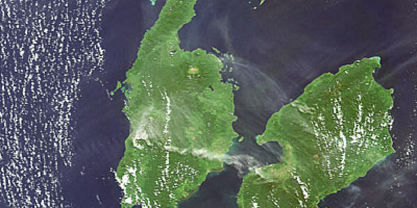 Article teaser image