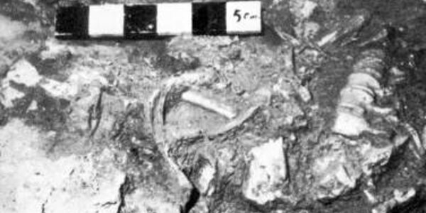 Article teaser image