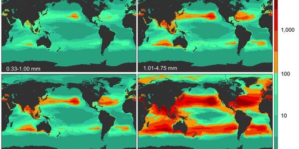 Article teaser image