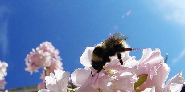 Article teaser image