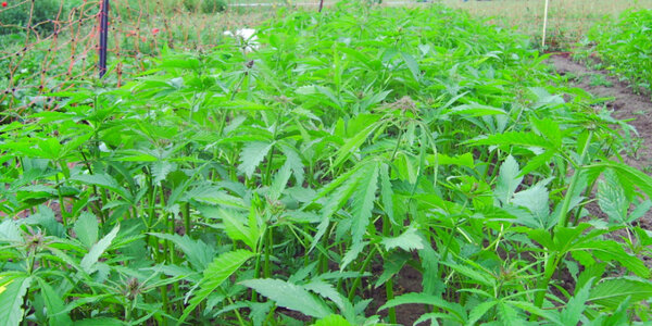 Article teaser image