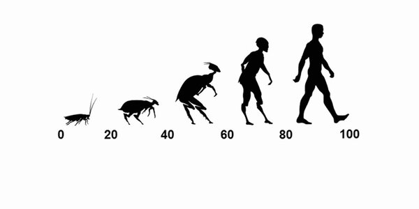 Article teaser image