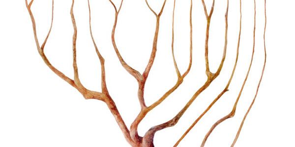 Article teaser image