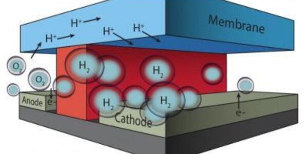 Article teaser image