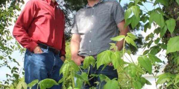 Article teaser image