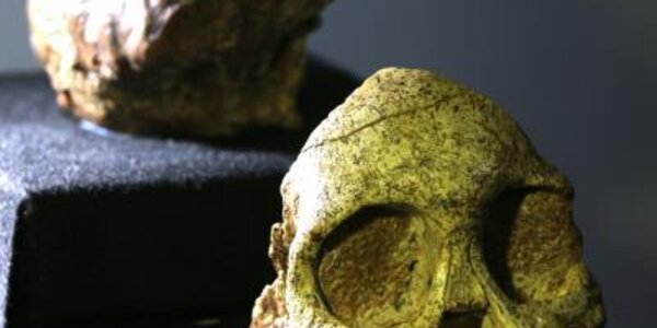 Article teaser image