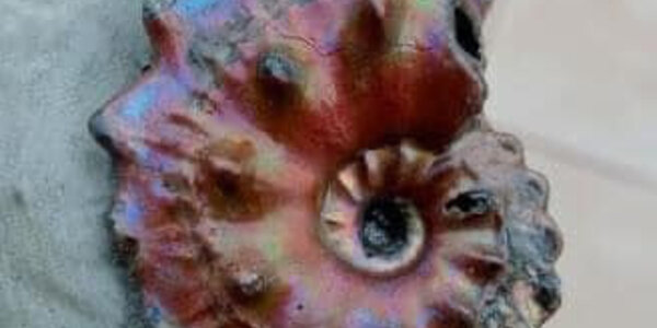 Article teaser image