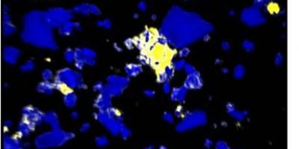 Article teaser image