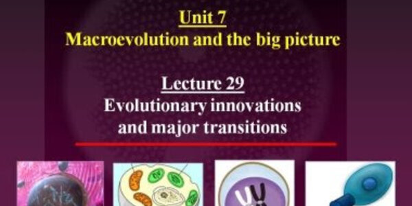 Article teaser image