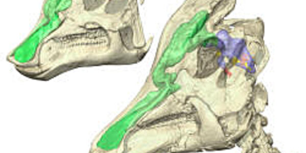 Article teaser image