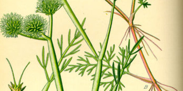 Article teaser image