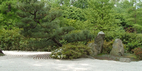 Article teaser image