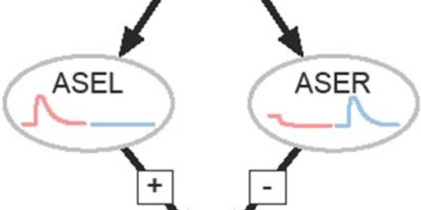 Article teaser image