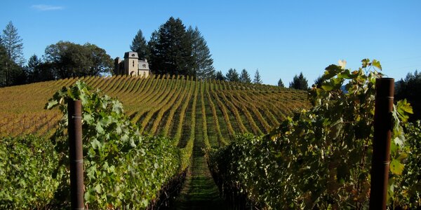 Article teaser image