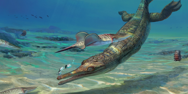 Article teaser image