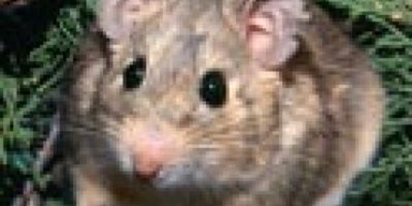 Article teaser image