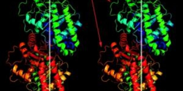 Article teaser image