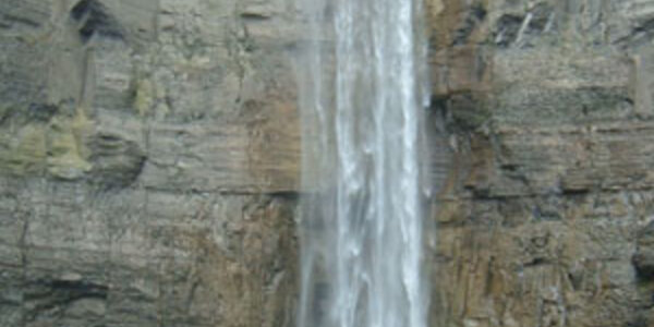 Article teaser image