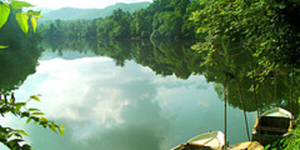 Article teaser image