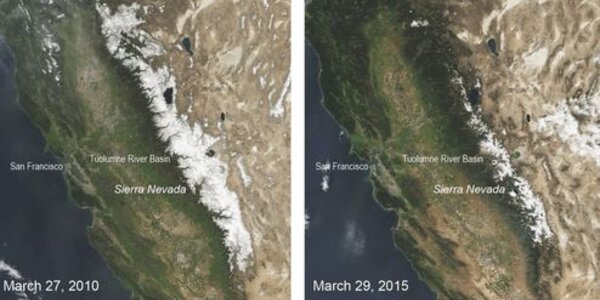 Article teaser image