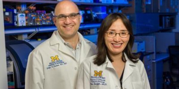 Article teaser image