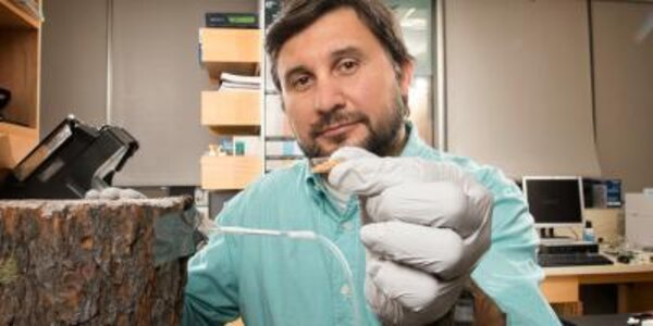 Article teaser image