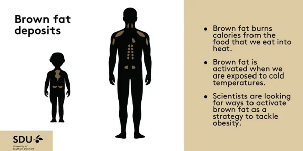 Article teaser image