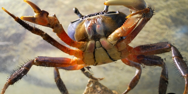 Article teaser image