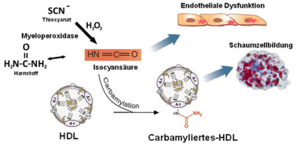 Article teaser image