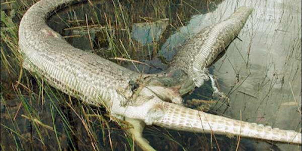 Article teaser image