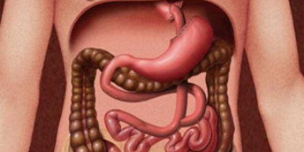 Article teaser image