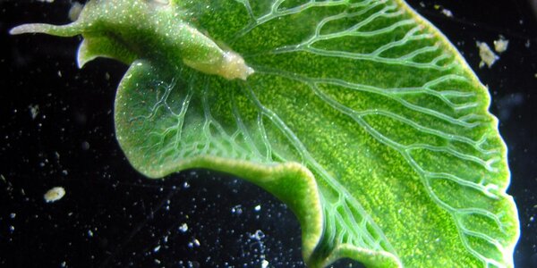 Article teaser image