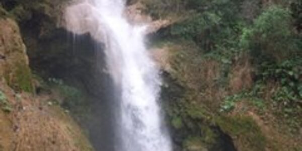 Article teaser image