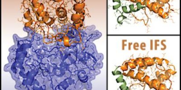 Article teaser image