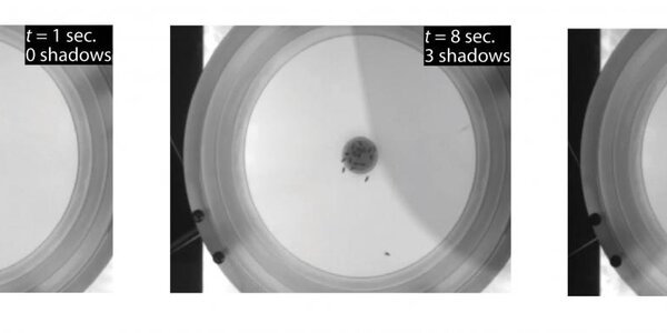 Article teaser image