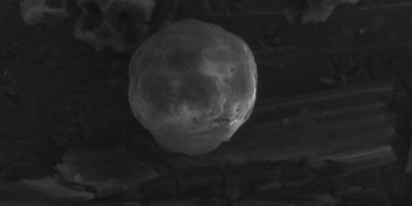 Article teaser image