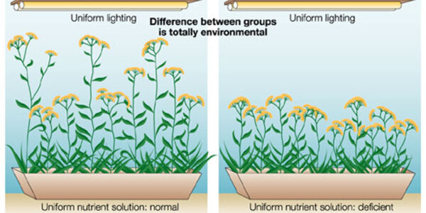 Article teaser image