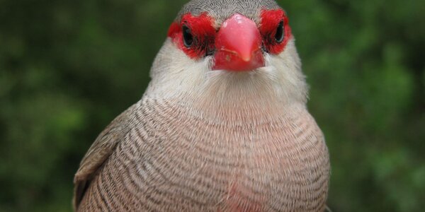 Article teaser image