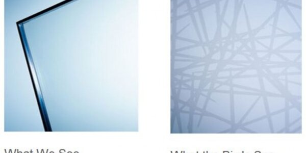 Article teaser image