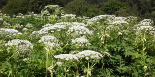 Article teaser image