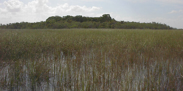 Article teaser image