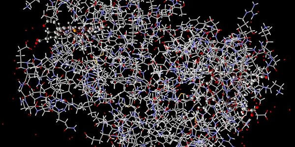 Article teaser image