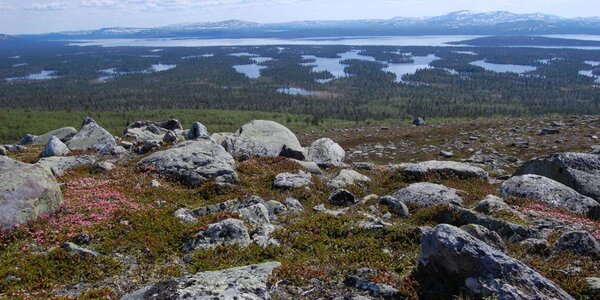 Article teaser image