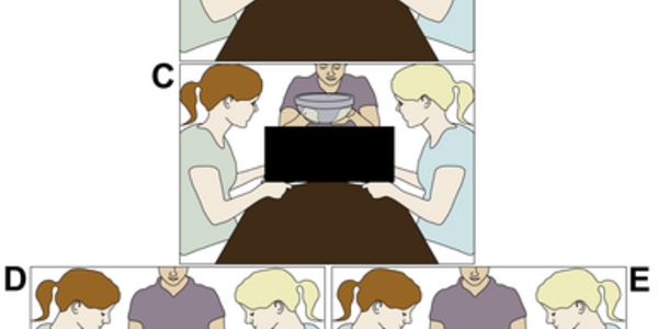 Article teaser image