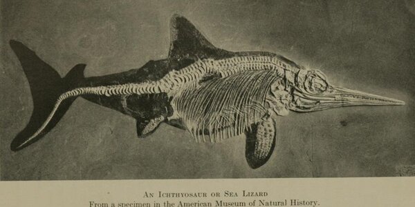 Article teaser image