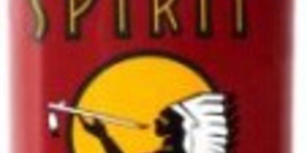 Article teaser image