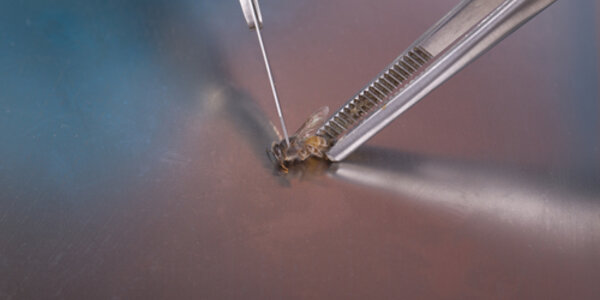 Article teaser image