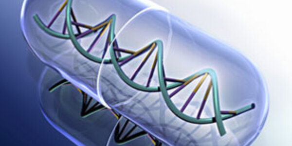 Article teaser image