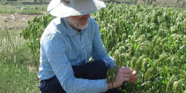 Article teaser image