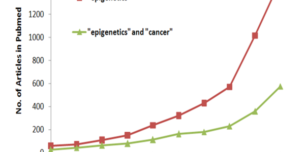 Article teaser image